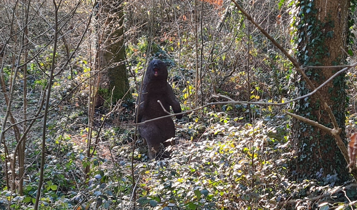 Colemen Traditionell intuitiv Bogenschießen, 3D Bogenparcours Lellwangen