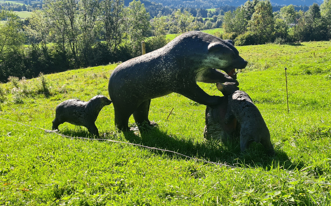 Colemen Traditionell intuitiv Bogenschießen, 3D Bogenparcours Martinszell
