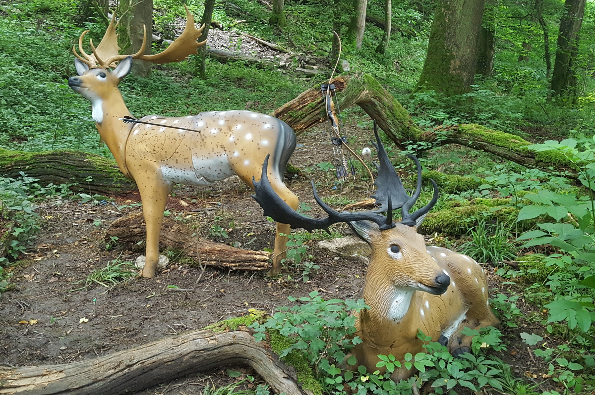 Colemen Traditionell intuitiv Bogenschießen, 3D Bogenparcours Ox Bow