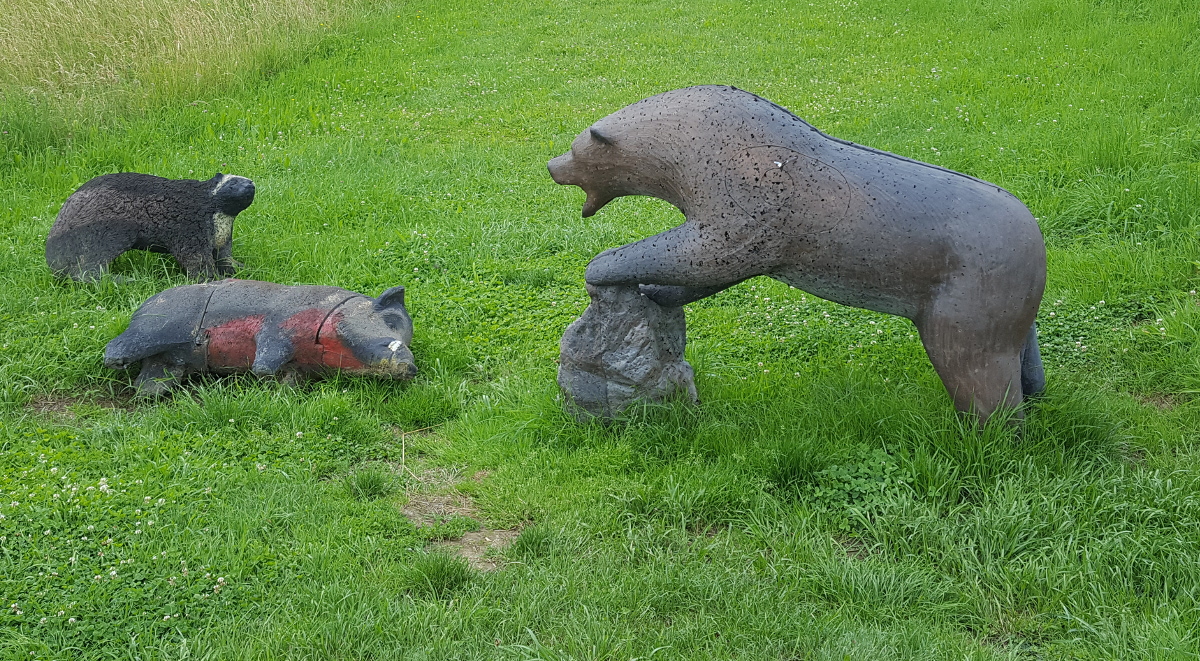 Colemen Traditionell intuitiv Bogenschießen, 3D Bogenparcours Ox Bow