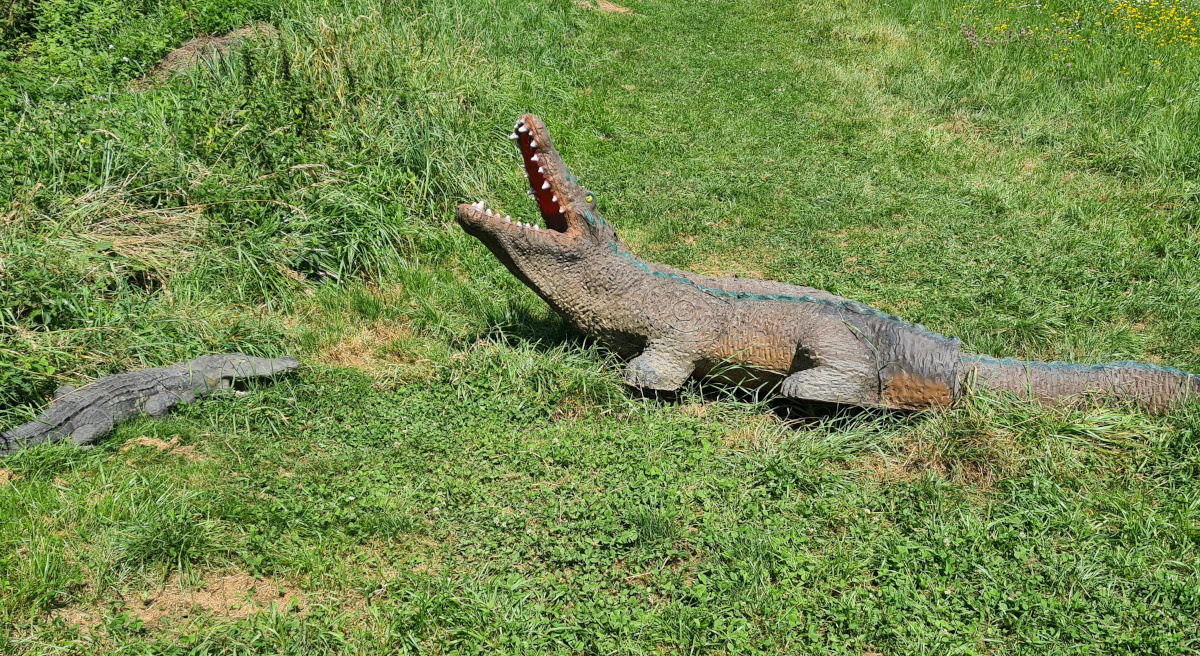 Colemen Traditionell intuitiv Bogenschießen, 3D Bogenparcours, Bogenparcours Ox Bow