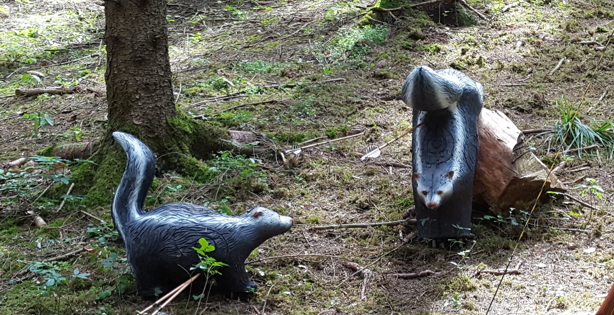 Colemen Traditionell intuitiv Bogenschießen, 3D Bogenparcours SC Diana