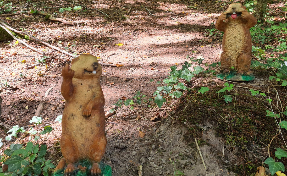 Colemen Traditionell intuitiv Bogenschießen, 3D Bogenparcours SC Diana