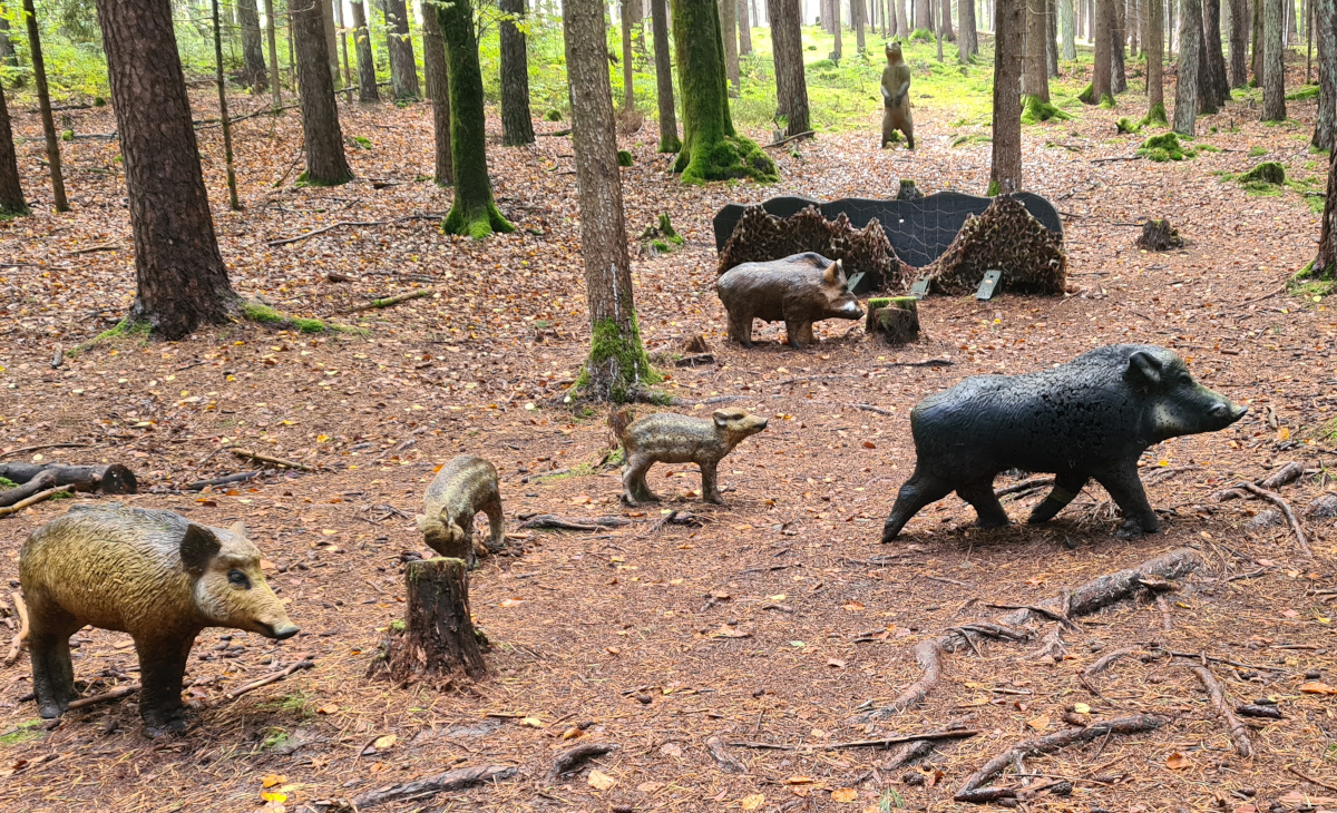 Colemen Traditionell intuitiv Bogenschießen, 3D Bogenparcours Schloß Guteneck