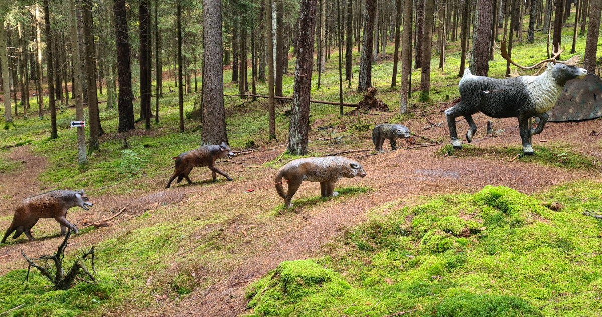 Colemen Traditionell intuitiv Bogenschießen, 3D Bogenparcours Schloß Guteneck