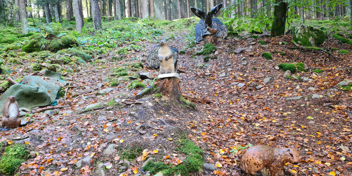 Colemen Traditionell intuitiv Bogenschießen, 3D Bogenparcours Schloß Guteneck