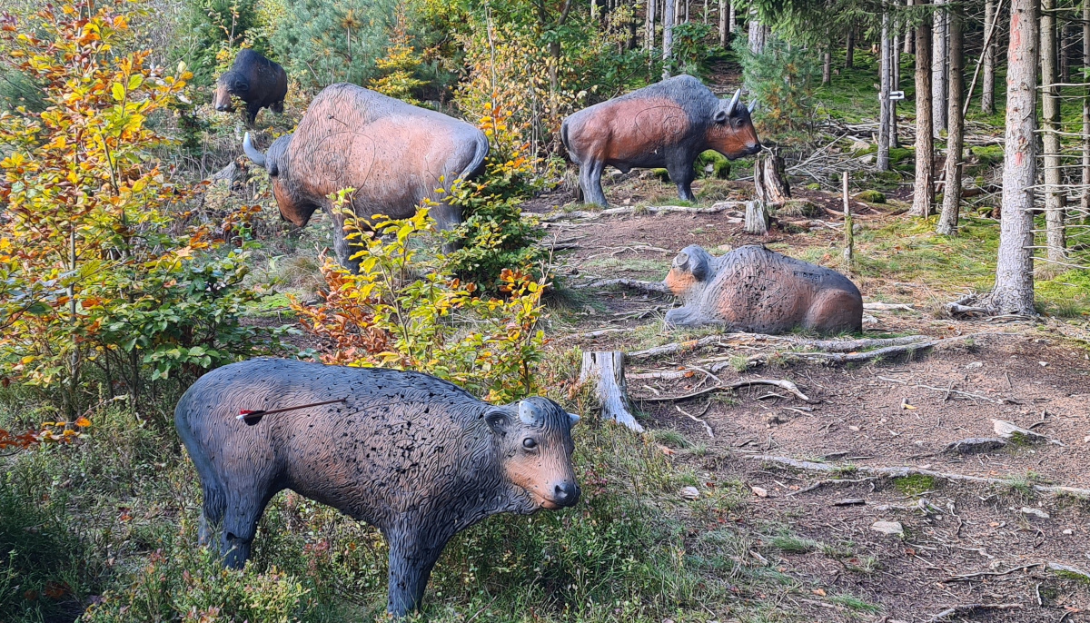 Colemen Traditionell intuitiv Bogenschießen, 3D Bogenparcours Schloß Guteneck