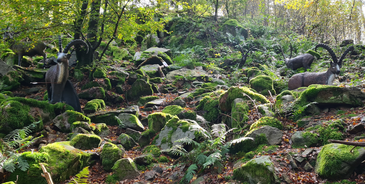 Colemen Traditionell intuitiv Bogenschießen, 3D Bogenparcours Schloß Guteneck