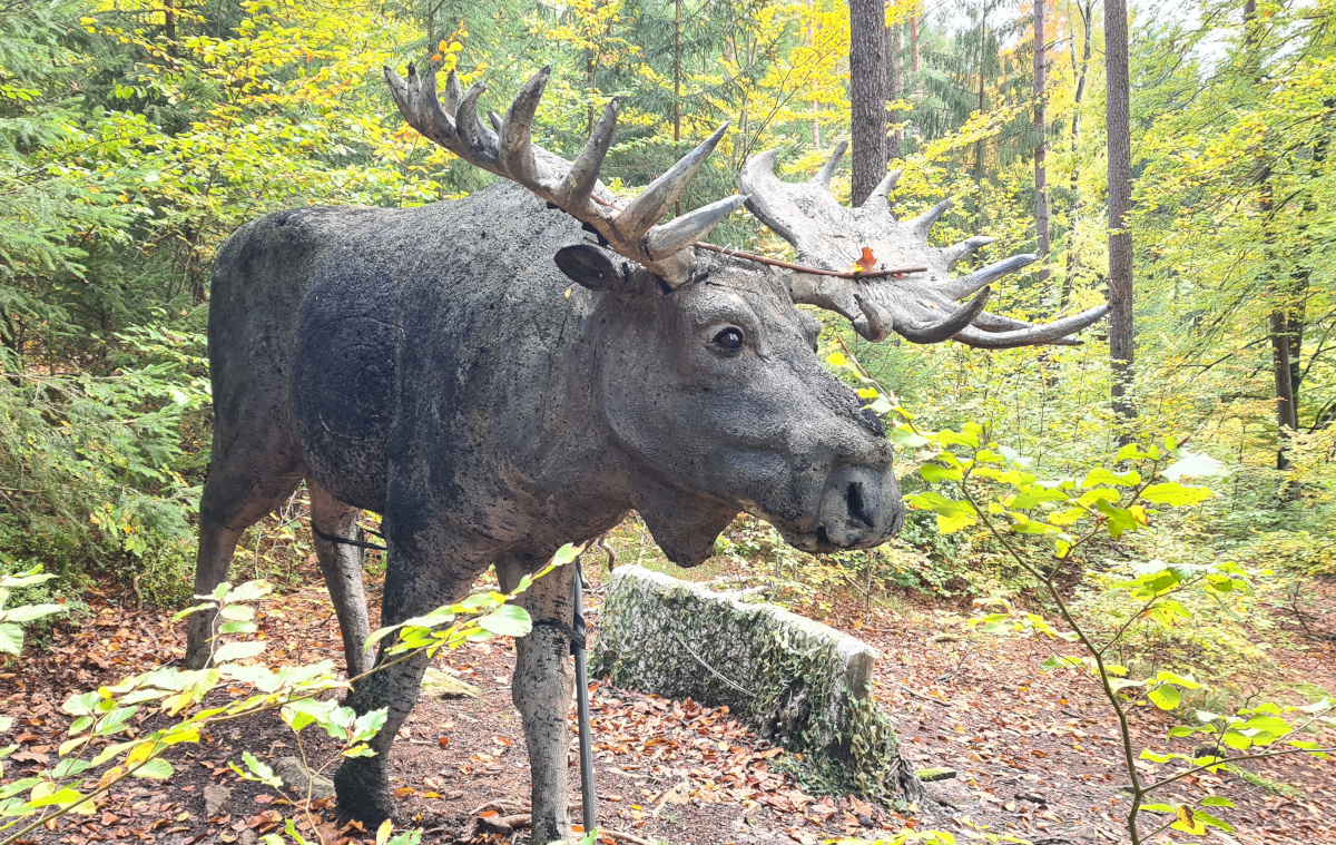 Colemen Traditionell intuitiv Bogenschießen, 3D Bogenparcours Schloß Guteneck