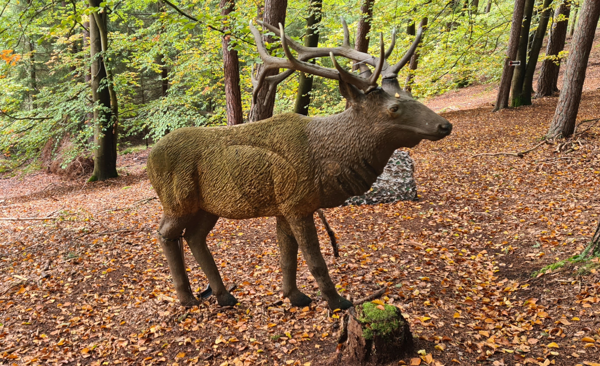 Colemen Traditionell intuitiv Bogenschießen, 3D Bogenparcours Schloß Guteneck