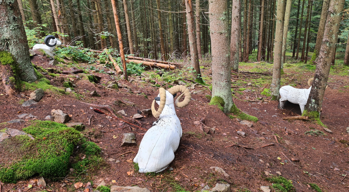 Colemen Traditionell intuitiv Bogenschießen, 3D Bogenparcours Schloß Guteneck