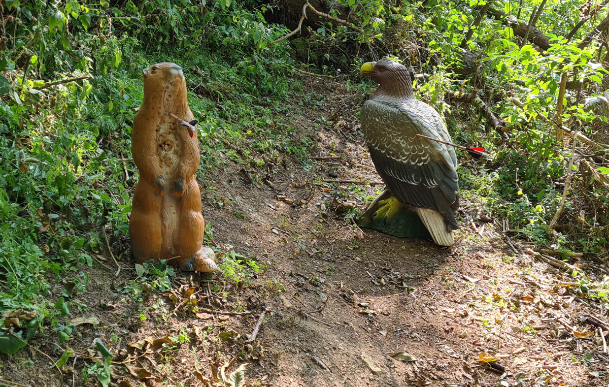 Colemen Traditionell intuitiv Bogenschießen, 3D Bogenparcours Streutal Archers