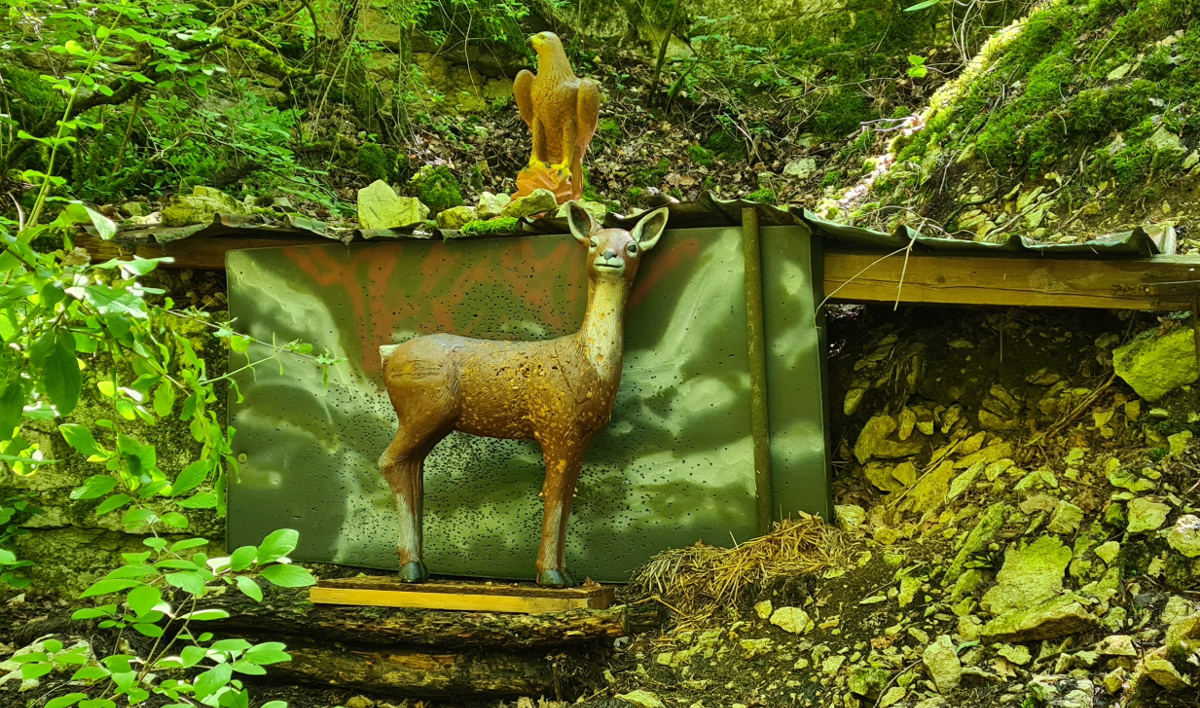 Colemen Traditionell intuitiv Bogenschießen, 3D Bogenparcours Tombows