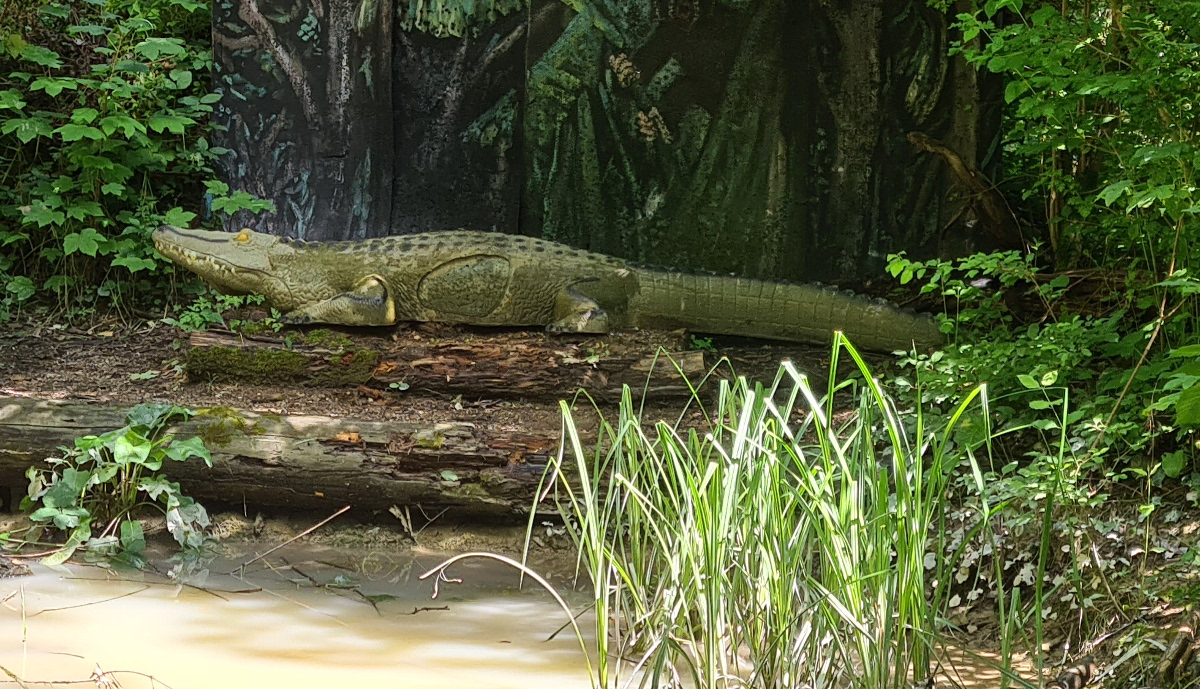 Colemen Traditionell intuitiv Bogenschießen, 3D Bogenparcours Tombows