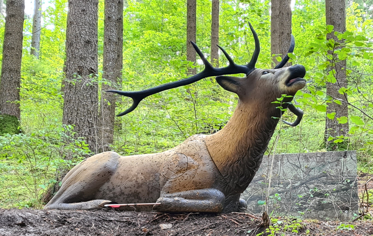 Colemen Traditionell intuitiv Bogenschießen, 3D Bogenparcours Waldläufer