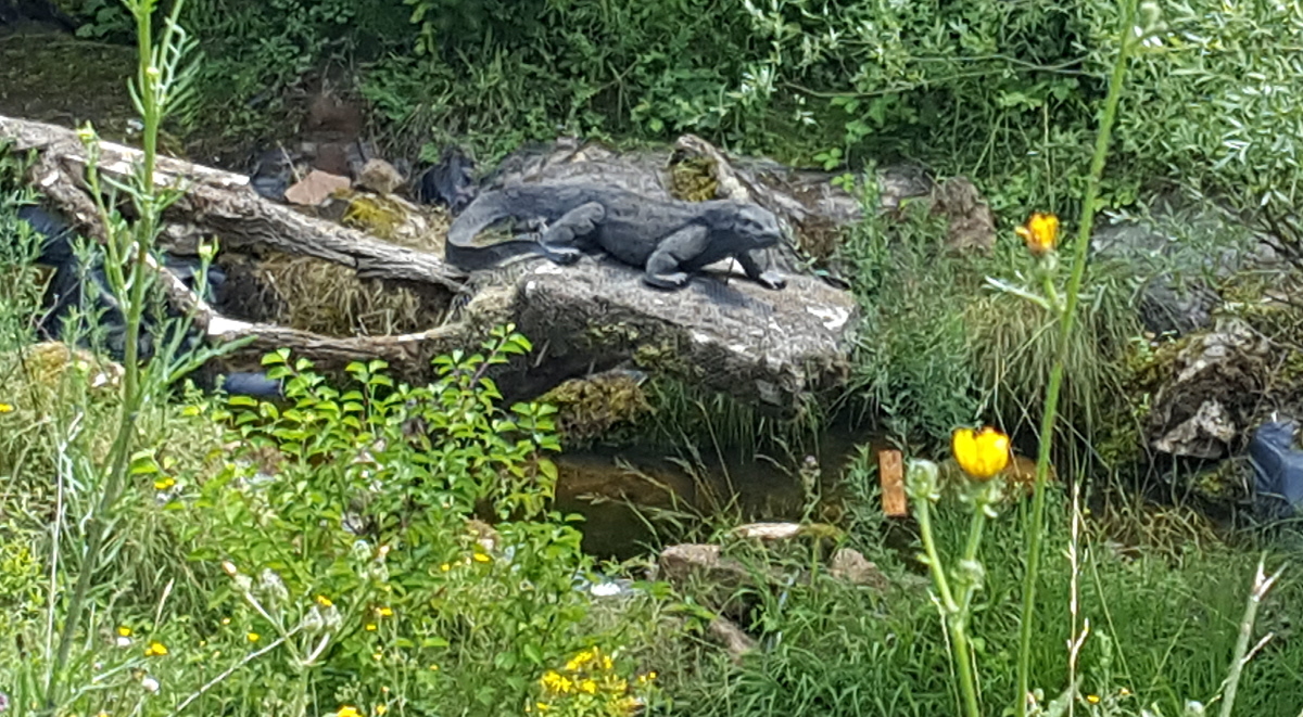 Colemen Traditionell intuitiv Bogenschießen, 3D Bogenparcours Wolfsschlucht