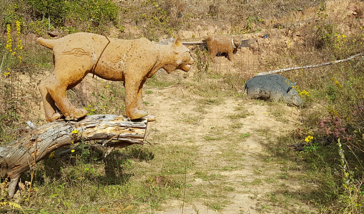 Colemen Traditionell intuitiv Bogenschießen, 3D Bogenparcours Wolfsschlucht