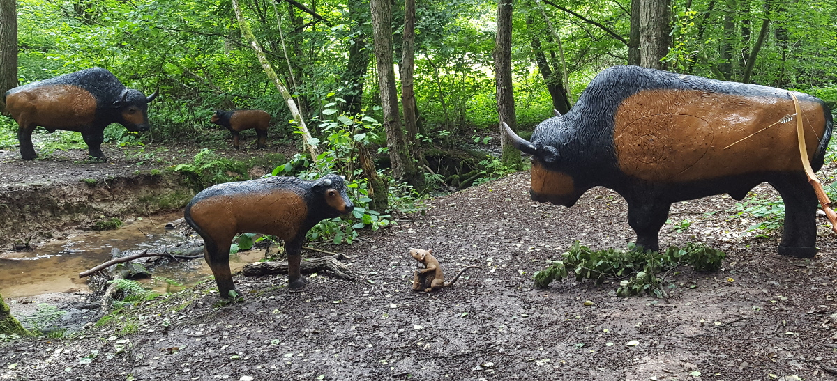 3D Bogenschießen, Bogenparcours Collenberg