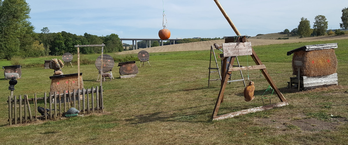3D Bogenschießen, Bogenparcours Diebacher Edelknechte