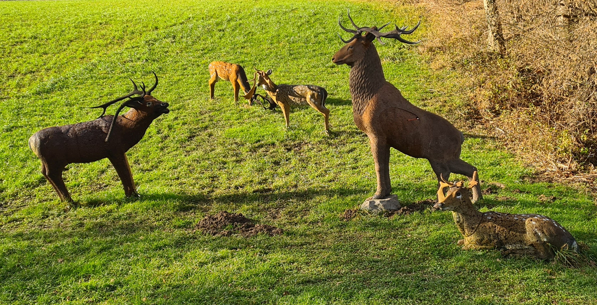 Colemen Traditionell intuitiv Bogenschießen, 3D Bogenparcours Lellwangen