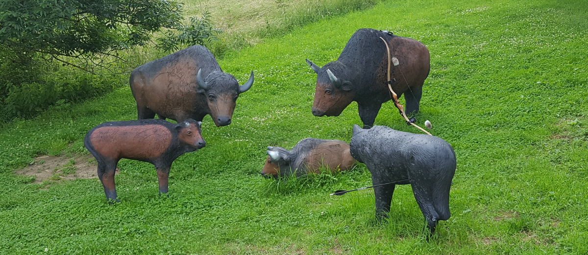 Colemen Traditionell intuitiv Bogenschießen, 3D Bogenparcours Ox bow Jagsthausen