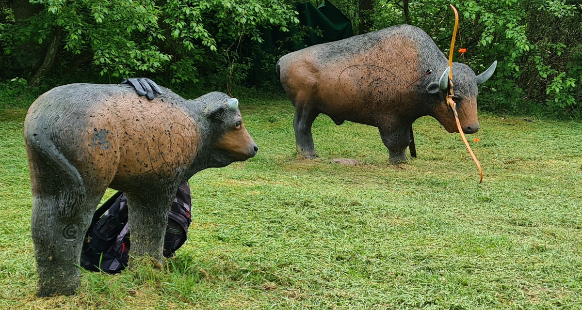 Colemen Traditionell intuitiv Bogenschießen, 3D Bogenparcours Stadtprozelten