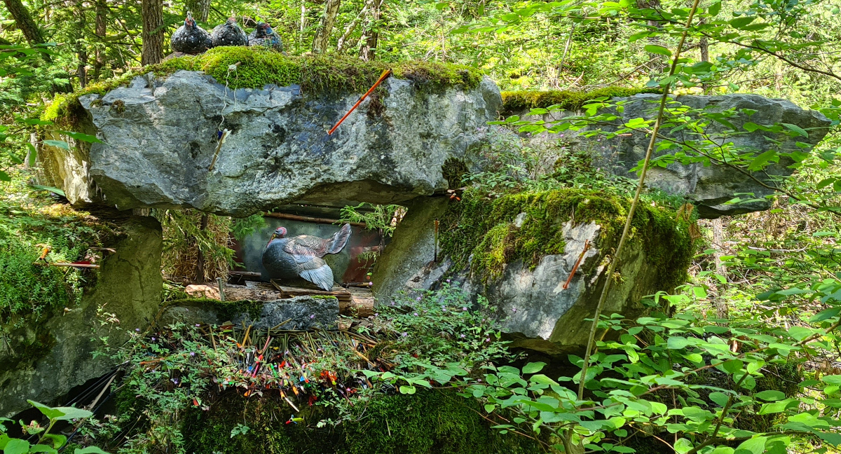 Colemen Traditionell intuitiv Bogenschießen, 3D Bogenparcours Tomboes