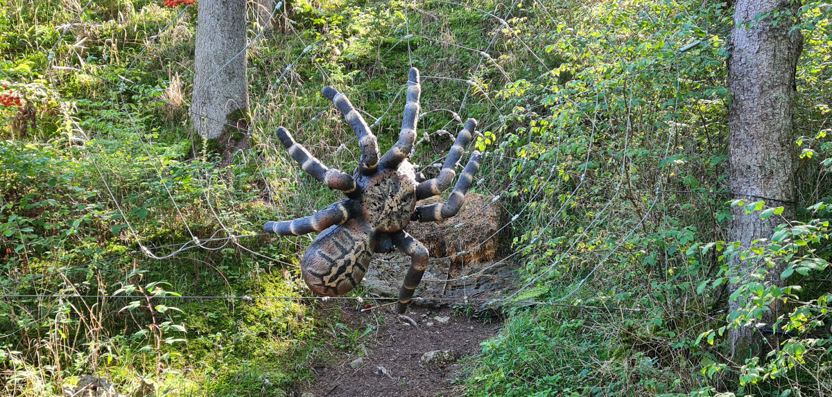 Colemen Traditionell intuitiv Bogenschießen, 3D Bogenparcours Waldläufer