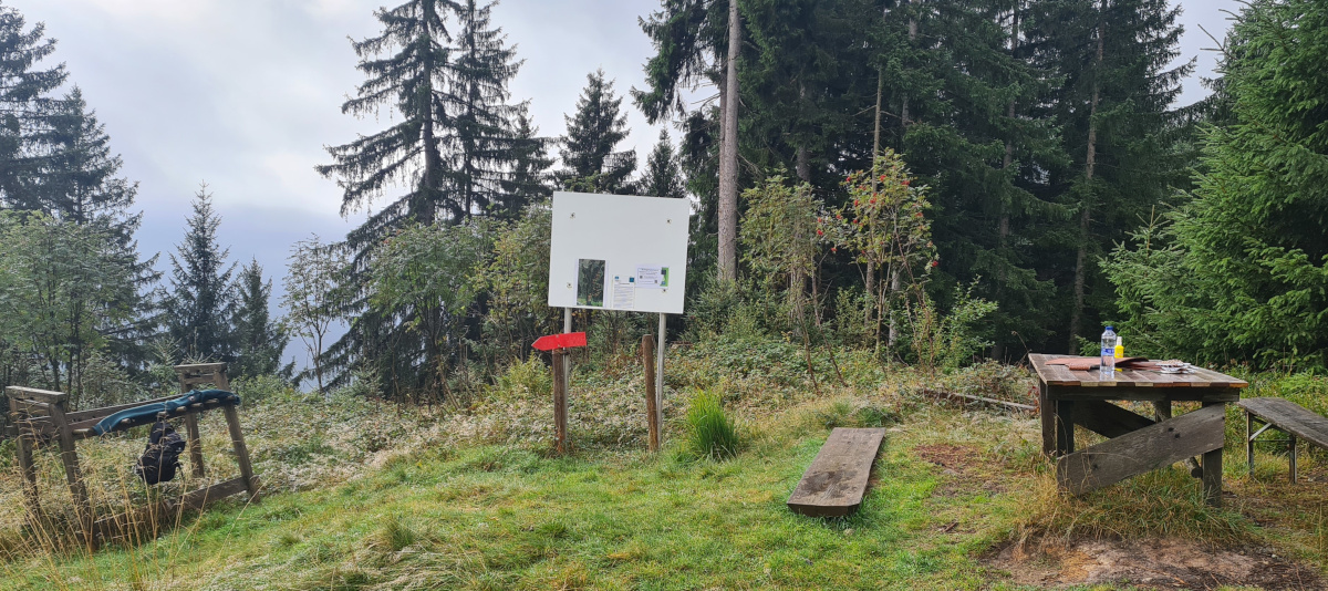 3D Bogenschießen, Bogenparcours Allgäu Bolsterlang